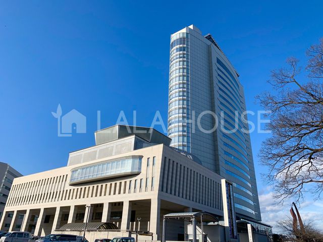 Qnsot ̐VzˌĂ̎ӊ