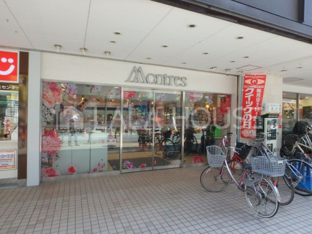 Qnsot ̐VzˌĂ̎ӊ