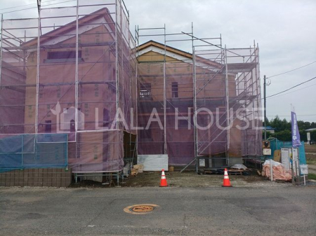 Qns␅ ̐VzˌĂ̌nOώʐ^