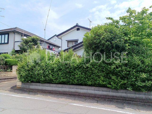 QnOsԑ1ڂ̒ÈˌĂ̌nOώʐ^