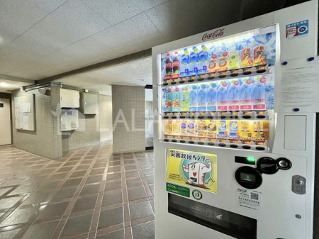 �Q�n������s������3���ڂ̒��Ã}���V�����̂��̑�