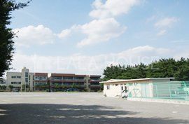 QnsVے ̐VzˌĂ̎ӊ