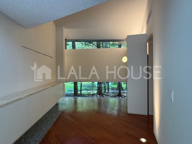 쌧kvSy򒬑厚q ̒ÈˌĂ̂̑