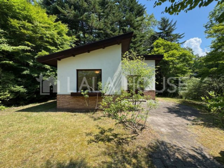 쌧kvSy򒬑厚q ̒ÈˌĂ̌nOώʐ^