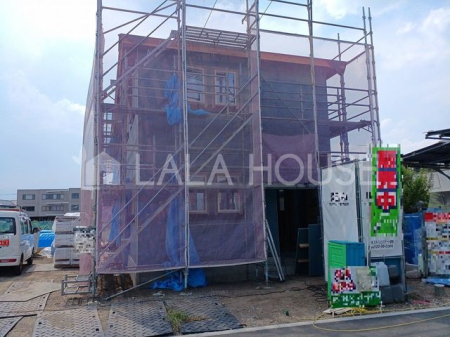 QnOsc ̐VzˌĂ̌nOώʐ^