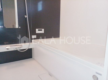 �Q�n���O���s���c�� �̐V�z��ˌ��Ă̗���