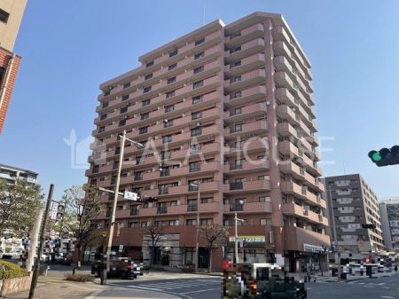 Qns11-9̒Ã}V̌nOώʐ^