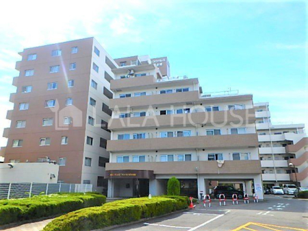 Qns| ̒Ã}V̌nOώʐ^