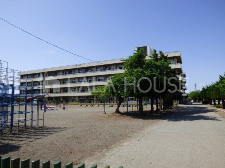 Qnsq쒬 ̐VzˌĂ̎ӊ