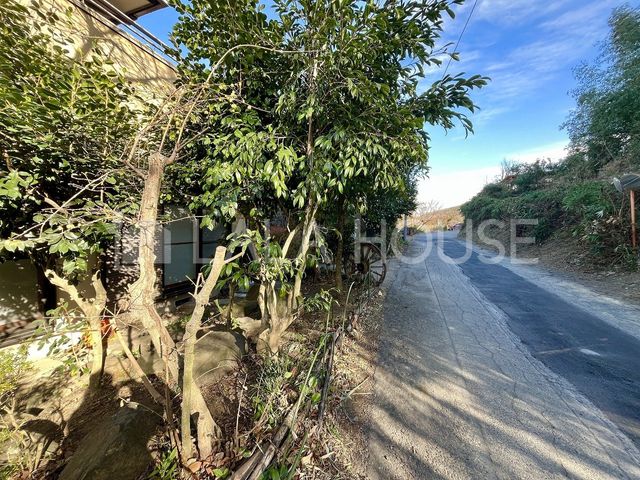 �Q�n������s�@���� �̒��È�ˌ��Ă̂��̑�