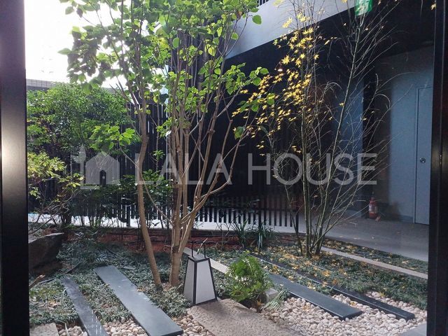 �Q�n������s�h�� �̒��Ã}���V�����̂��̑�