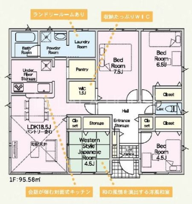 �Q�n���O���s�͌��l�� �̐V�z��ˌ��Ẳ摜