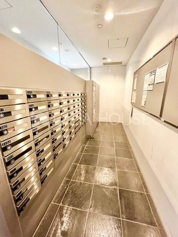 �Q�n���O���s���c��2���ڂ̒��Ã}���V�����̂��̑�