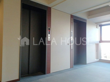 �Q�n���O���s���c��2���ڂ̒��Ã}���V�����̂��̑�