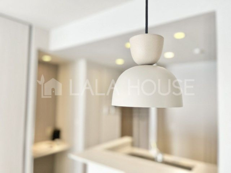 �Q�n������s�Ñ���47-1�̒��Ã}���V�����̃��r���O