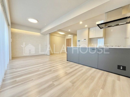 �Q�n������s�h��17-26�̒��Ã}���V�����̃��r���O