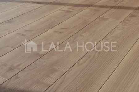 �Q�n������s������ �̐V�z��ˌ��Ă̂��̑�