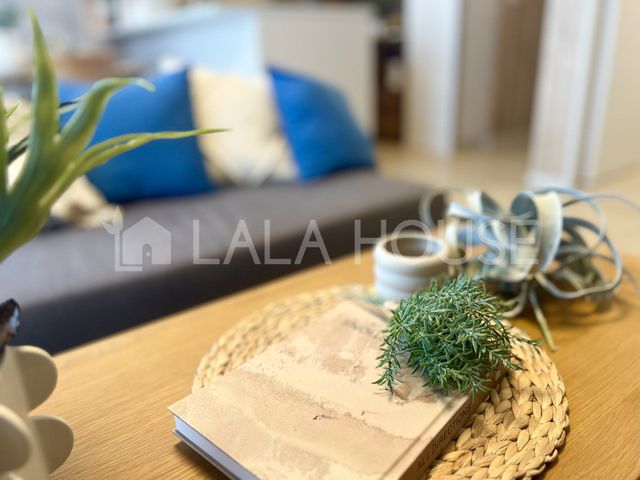 �Q�n������s�Ñ���47-1�̒��Ã}���V�����̂��̑�