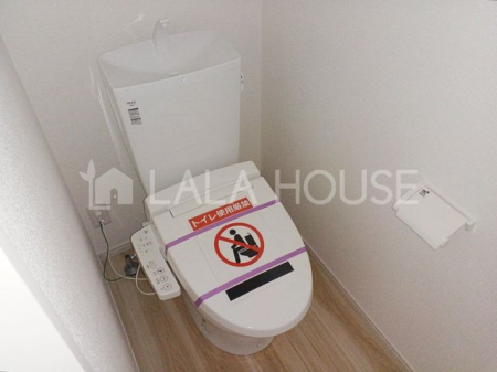 �Q�n���O���s�O���c�� �̐V�z��ˌ��Ẵg�C��