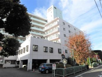 �Q�n������s��Ւ�133�̒��Ã}���V�����̉摜