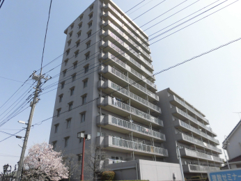 �Q�n������s�q��쒬1803-6�̒��Ã}���V�����̌��n�O�ώʐ^